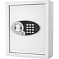 Barska 48 Key Digital Wall Key Safe (Ax12658)
