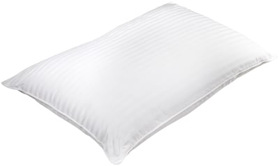 Barska Aus Vio 100% Silk Filled Pillow Queen Size  (BM12052)