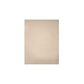 LUX 12 x 18 Paper (12 x 18) - Taupe Metallic - Pack of 250 (2445141)