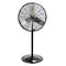 TPI Commercial 30 Pedestal Fan, 3-Speed, Black/Gray/Silver (CACU30P)