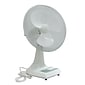 TPI Workstation 12" Oscillating Desk Fan, 3-Speed, White (ODF12)