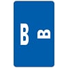 Smead® Alpha-Z Color-Coded Second Letter B Labels, 10 Labels Per Sheet, Dark Blue, 1H x 1 5/8W,