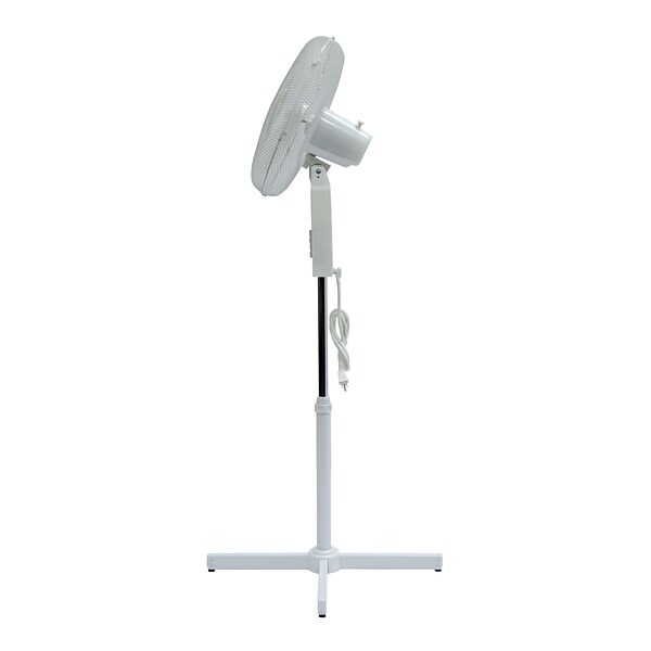 TPI Workstation 16