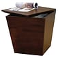 Winsome Mesa 18" x 18 1/2" x 18 1/2" Wood Storage Cube or End Table, Brown