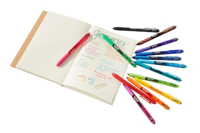 Paper Mate InkJoy Retractable Gel Pens, Fine Point, Assorted Ink, 14/Pack (1988991)