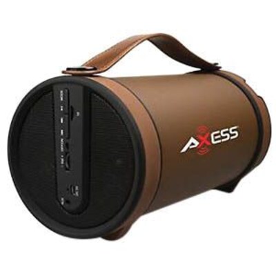 Axess® SPBT1033 2 W x 2 Indoor/Outdoor Portable HIFI Bluetooth Loud Speaker, Brown