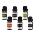 Pursonic® 6 Piece Pure Essential Aromatherapy Oils Gift Set (A06)