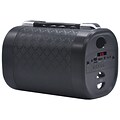 QFX® BT-143 2 x 5 W Portable Bluetooth Sound Cylinder, Black