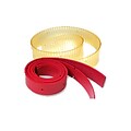 Advance Replacement Squeegee Kit