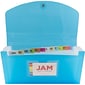 Jam Paper Plastic File Pocket, Check Size, Blue (221618980)