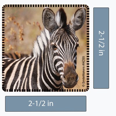 SmileMakers® Favorite Animals Stickers, 2-1/2”H x 2-1/2”W, 100/Roll