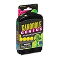 Educational Insights Kanoodle Genius, 3-D Puzzle Brain Teaser Game For Adults, Teens & Kids, Ages 8+