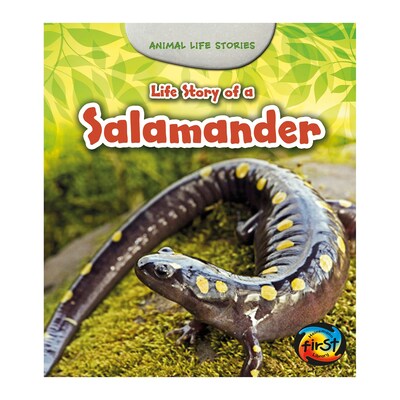 Life Story of a Salamander