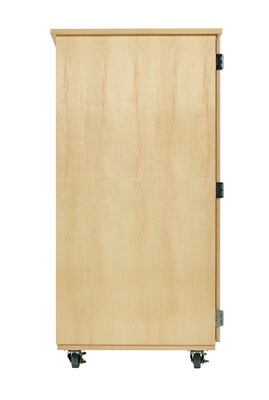 Diversified Woodcrafts Robotics Storage Cabinet, 50" x 24" x 53" (XP-5024M)