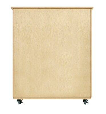 Diversified Woodcrafts Robotics Storage Cabinet, 50" x 24" x 53" (XP-5024M)