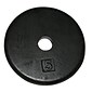 Iron Disc Weight Plate - 5 lb