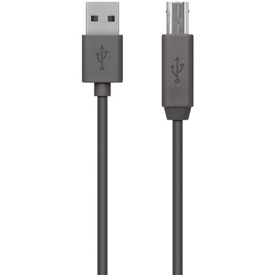 Belkin™ USB 2.0 Type-A to USB 2.0 Type-B Male/Male Data Transfer Cable, 10, Black (F3U154BT3M)