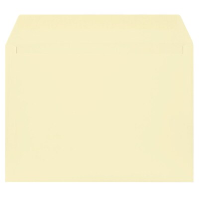 JAM Paper 9 x 12 Booklet Strathmore Envelopes, Natural White Wove, 25/Pack (191286)