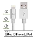 LAX Apple MFi Certified Lightning to USB Cable for Charge Sync 10ft - Silver