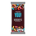 HERSHEYS Extra Large Milk Chocolate Appreciation Bar, 4.4 oz., 12 Count (246-00264)