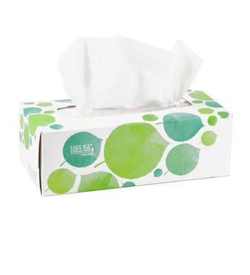 Seventh Generation™ 100% Recycled Facial Tissue, 2-Ply, 175 Sheets/Box (13712)