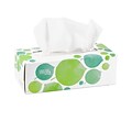 Seventh Generation™ 100% Recycled Facial Tissue, 2-Ply, 175 Sheets/Box (13712)
