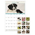2018 AT-A-GLANCE® Puppies Monthly Wall Calendar, 12 Months, January Start, 15-1/2 x 22-3/4 (DMW167-28-18)