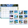 2018 AT-A-GLANCE® Tropical Escape Wall Calendar, 12 Months, January Start, 15 x 12, Wirebound (DMWTE8-28-18)