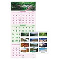 2018 AT-A-GLANCE® Scenic 3-Month Wall Calendar, 14 Months, December Start, 12 x 27, Wirebound (DMW503-28-18)
