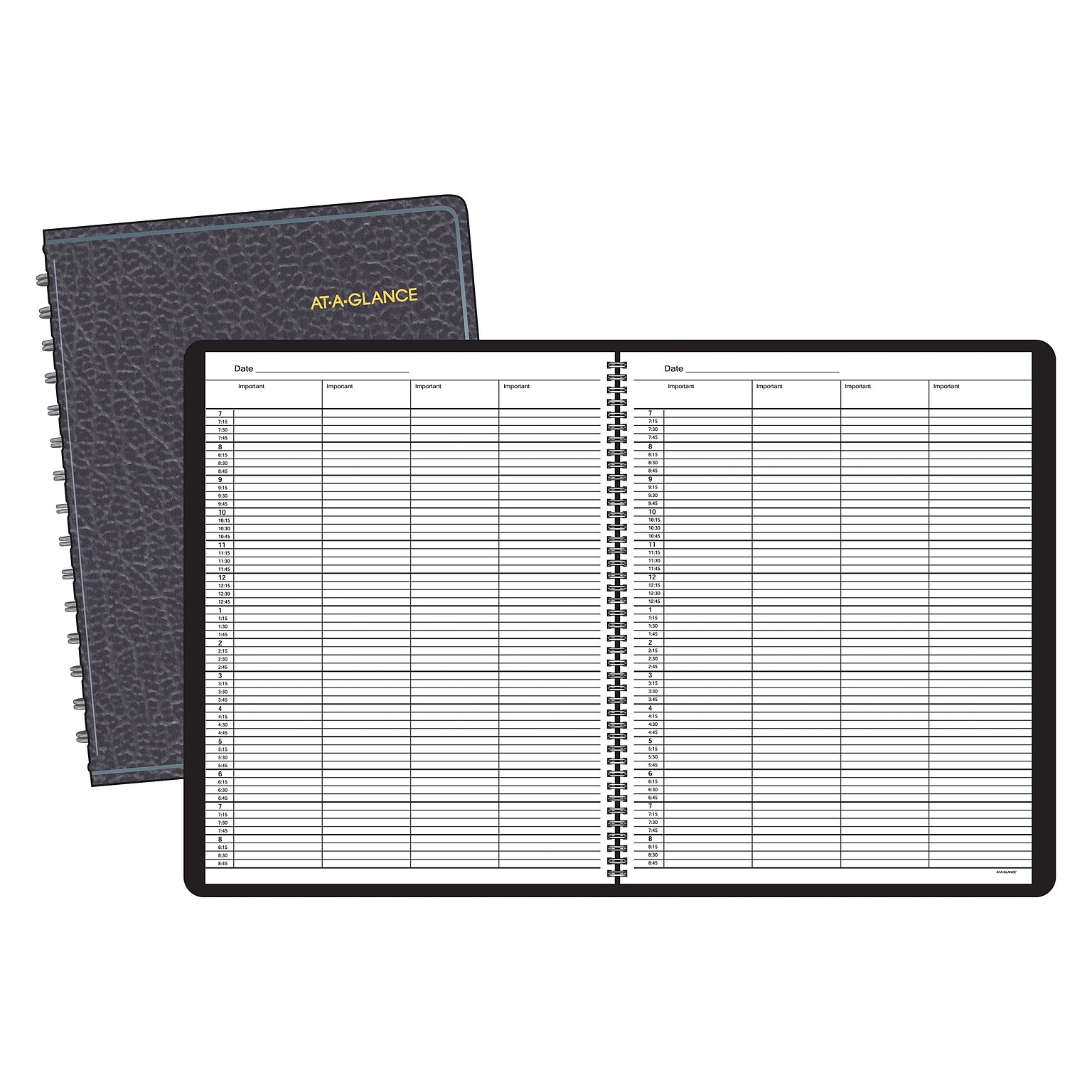 AT-A-GLANCE Four-Person Group 10.875 x 8.5 Daily Appointment Book, Faux Leather Cover, Black (80-310-05)