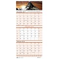 2018 House of Doolittle 8 x 17 Wall Calendar, 3 Month View, Earthscapes Scenic (3636)