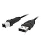 Belkin Pro Series 10' USB 2.0 Type A to Type B Male/Male Hi-Speed Extension Cable; Charcoal Gray (F3U133B10)