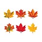 Trend® Mini Accents® Variety Packs, Maple Leaves Discovery