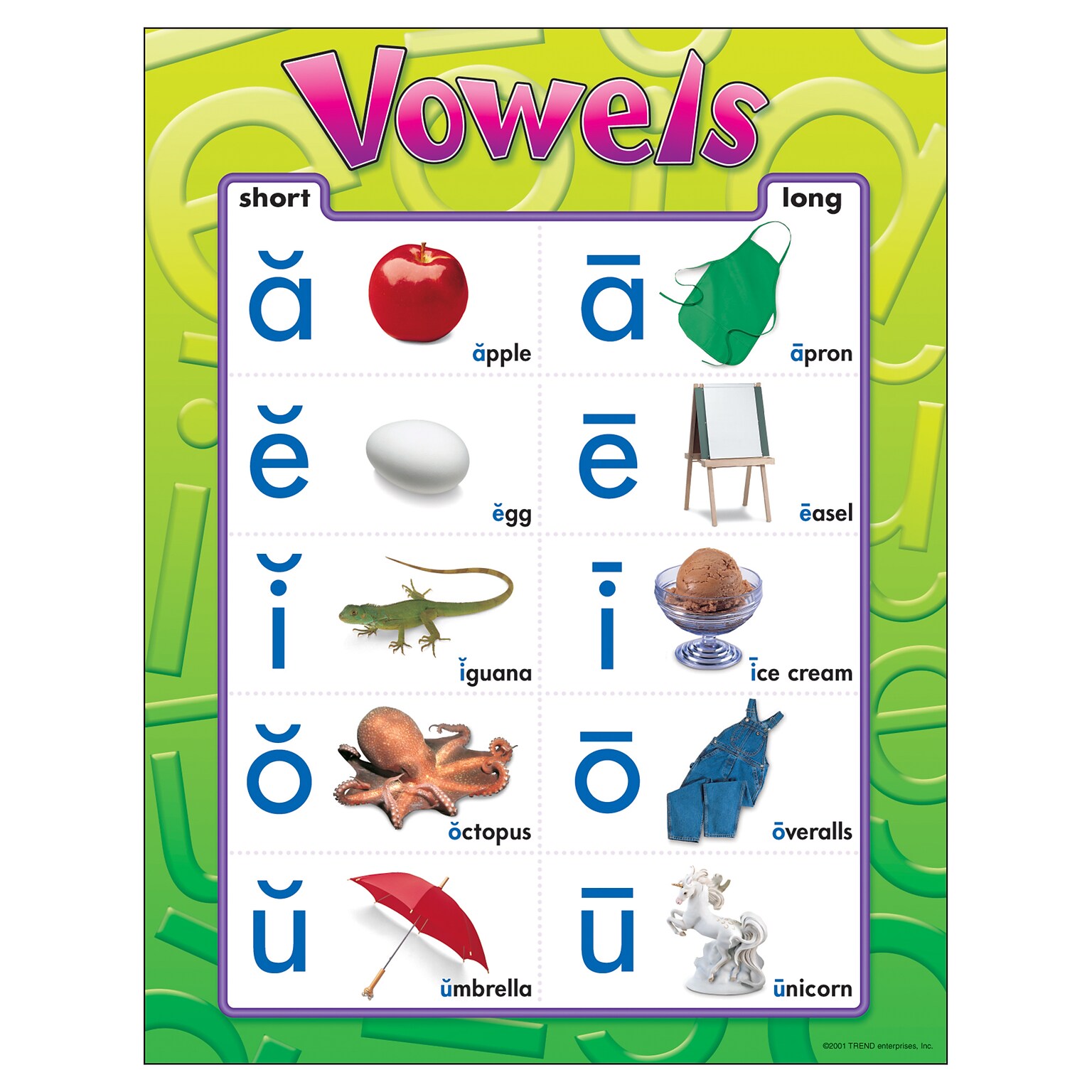 Vowels Learning Chart