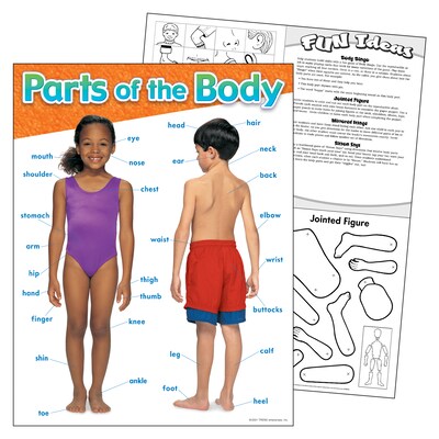 Trend Enterprises Parts of the Body Learning Chart, 17"W x 22"H (T-38048)