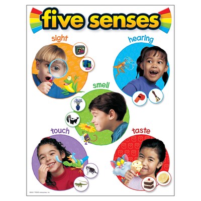 Trend Enterprises Five Senses Learning Chart (T-38051)