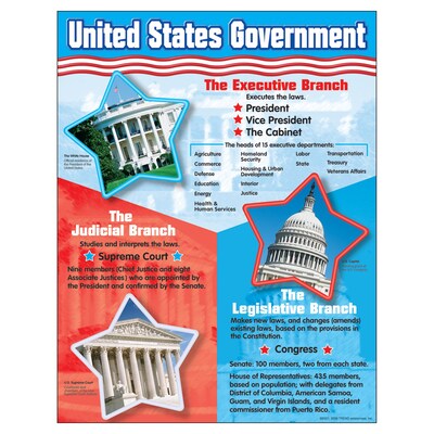 United States Government Learning Chart
