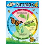 Life Cycle of a Butterfly Learning Chart