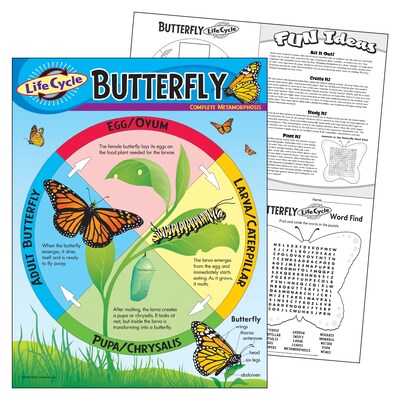 Life Cycle of a Butterfly Learning Chart