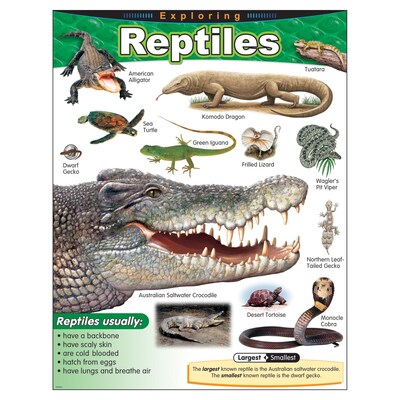 Exploring Reptiles Learning Chart