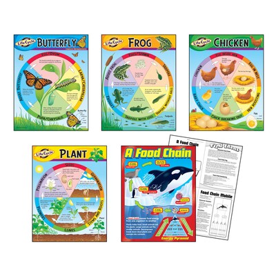 Trend® Learning Chart Combo Packs, Life Cycles