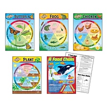 Trend® Learning Chart Combo Packs, Life Cycles