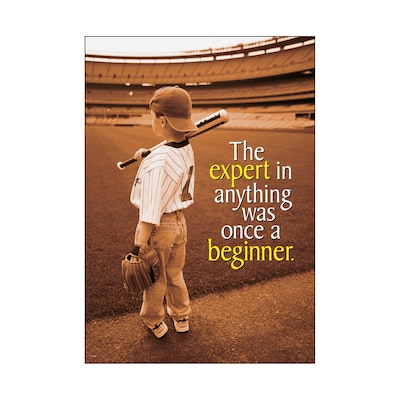 Trend® Educational Classroom Posters, The expert in anything was once…