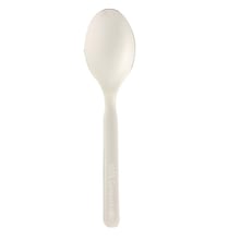 BioGreenChoice Plastic Teaspoon, Medium-Weight, White, 1000/Carton (BGC-2032)