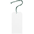 JAM Paper® Premium Gift Tags with String, Medium, 4 3/4 x 2 3/8, White with Green String, 10/pack (91932671)