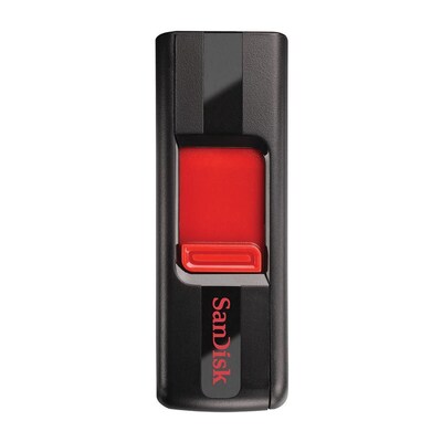 256Gb Cruze USB Flash Drive
