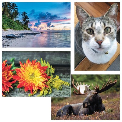 S&S Thera Jigsaw Foam Puzzle, Set Of 4