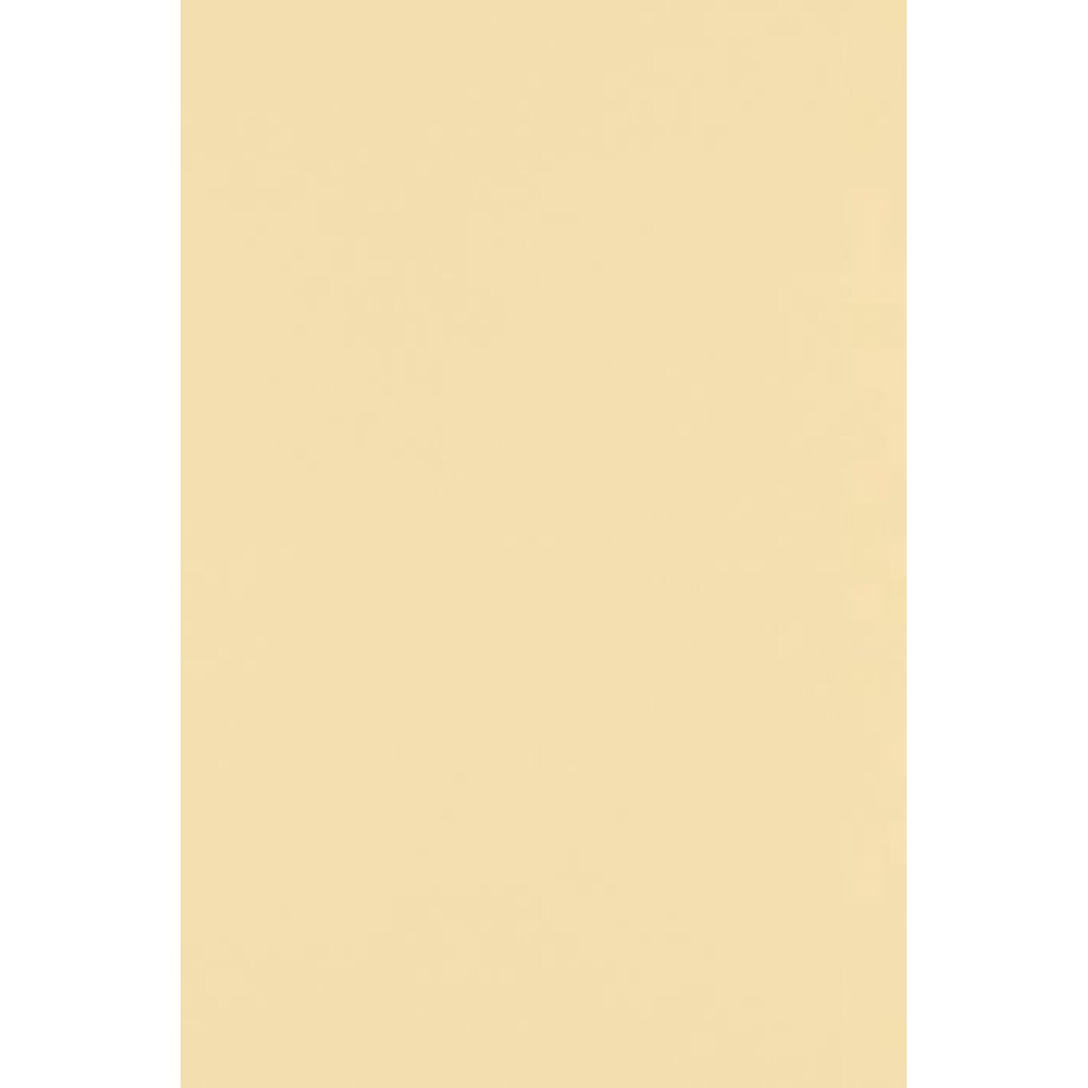 LUX 100 lb. Cardstock Paper, 12 x 18, Nude, 250 Sheets/Pack (1218-C-07-250)