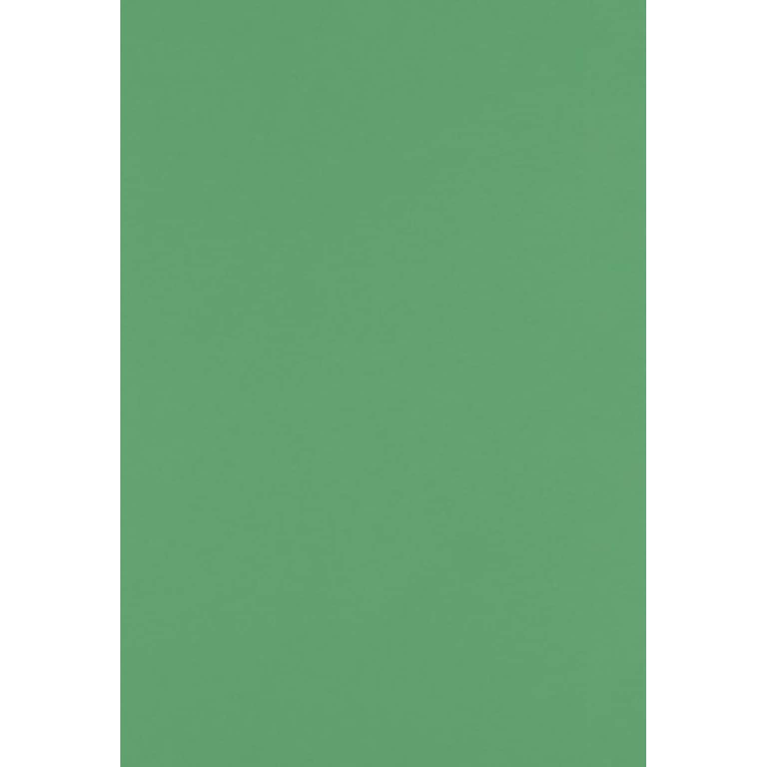 LUX Cardstock, 13 x 19, Holiday Green, 500 Sheets/Pack (1319-C-L17-500)