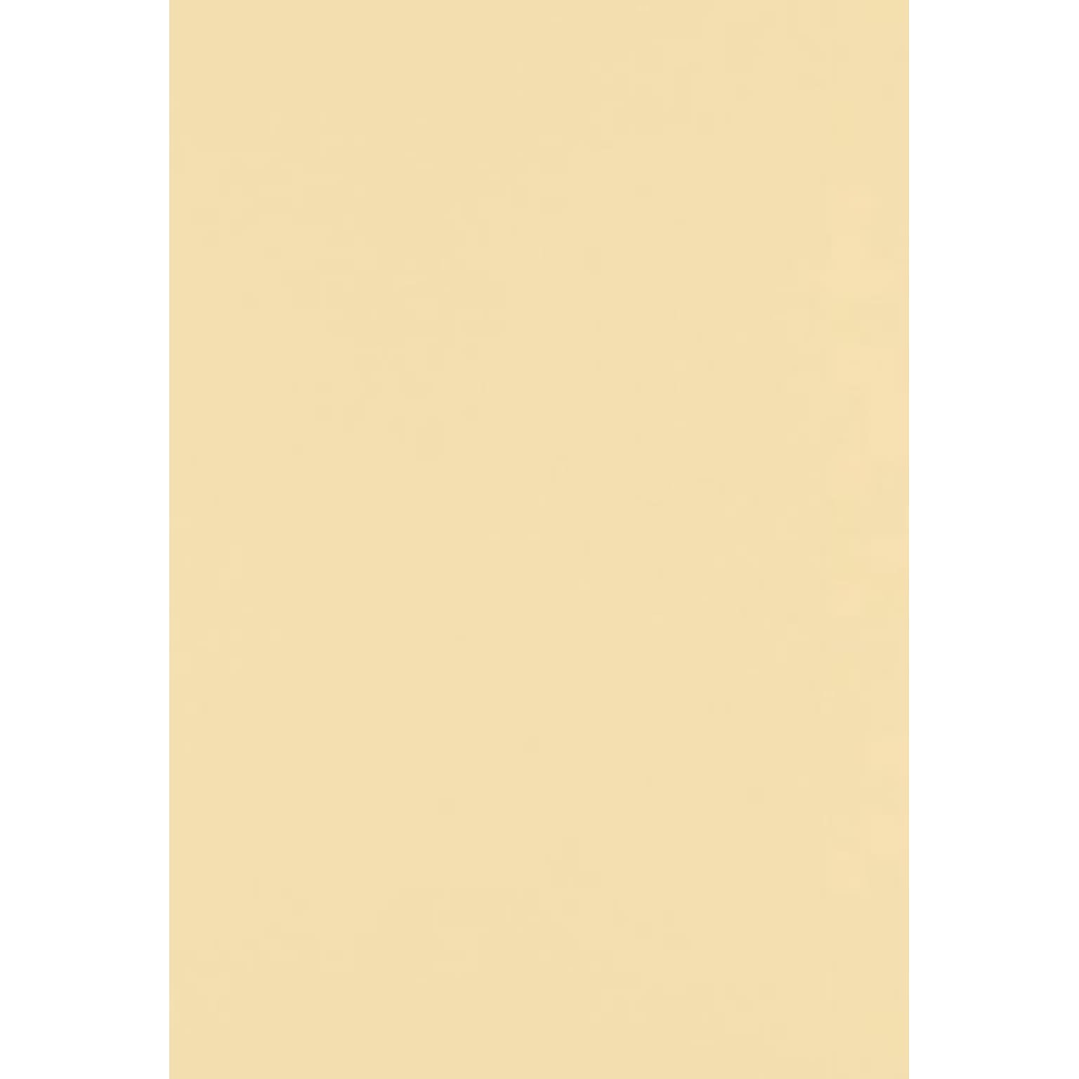 LUX 100 lb. Cardstock Paper, 13 x 19, Nude, 500 Sheets/Pack (1319-C-07-500)